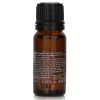 AROMATHERAPY ASSOCIATES - Forest Therapy - Pure Essential Oil Blend (Box Slightly Damaged) 10ml/0.33oz